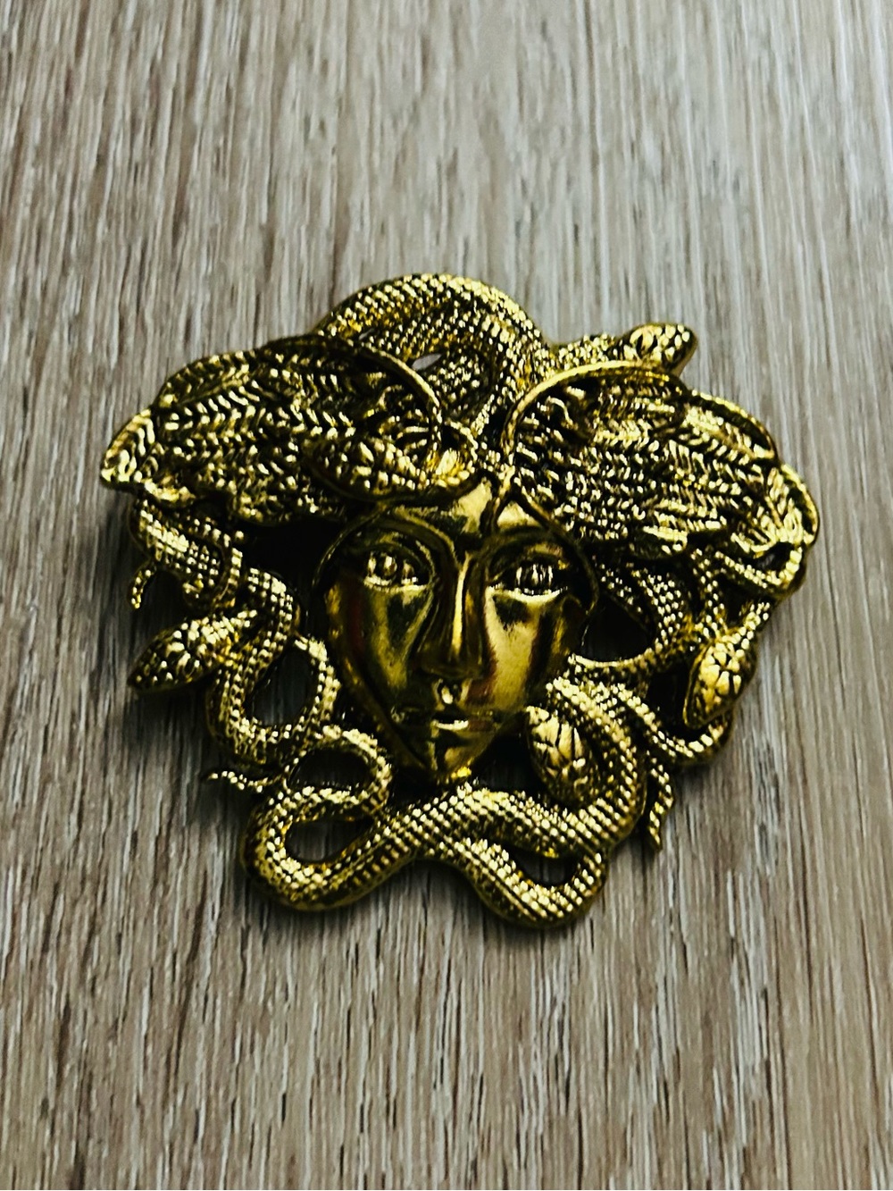 Gold Medusa Snake Brooch